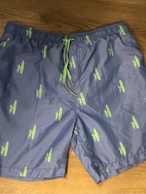 Johnny- O Men's Blue Surf Print Swim Trunks Blue Gree  Size L ( 36)